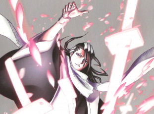 Картинка аниме bleach kuchiki byakuya zanpakuto captain синигами кимоно катана лепестки шарф сила блич art tite kubo