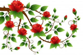 Картинка векторная+графика цветы+ flowers розы