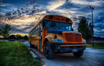 Картинка автомобили автобусы транспорт
