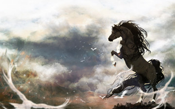 Картинка рисованное животные +лошади конь ветер птицы тучи