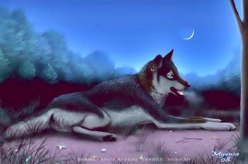 Картинка календари рисованные +векторная+графика calendar 2020 природа растение хищник животное волк