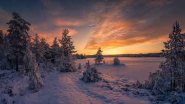 Картинка природа зима рингерике норвегия