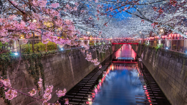 Обои картинки фото города, токио , япония, река, мегуро, токио