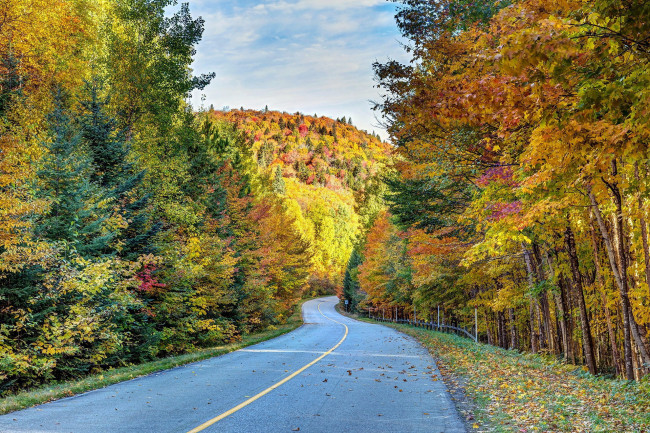 Обои картинки фото природа, дороги, листопад, шоссе, осень