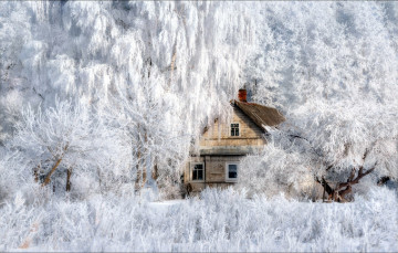 обоя города, - здания,  дома, зима, дом, жилой, деревья, иней, снег