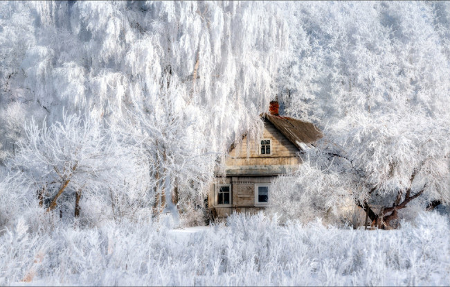 Обои картинки фото города, - здания,  дома, зима, дом, жилой, деревья, иней, снег