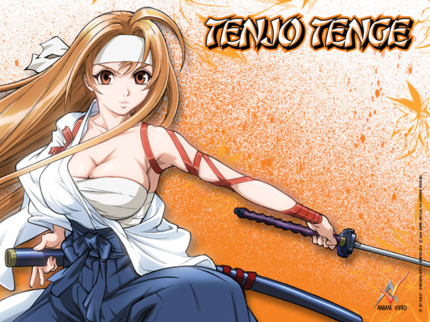 Обои картинки фото аниме, tenjou, tenge