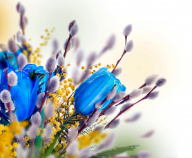 Картинка цветы разные+вместе мимоза тюльпаны верба