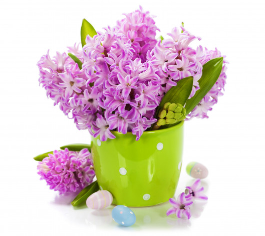 Обои картинки фото цветы, гиацинты, ваза, фиолетовые, яйца, фон