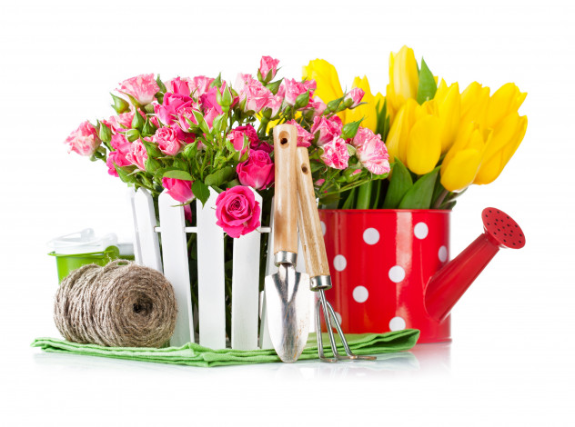 Обои картинки фото цветы, разные вместе, лопатка, нитки, фон, розовые, розы, желтые, тюльпаны