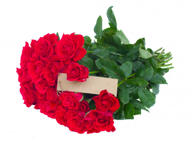 Обои картинки фото цветы, розы, красные, букет, фон