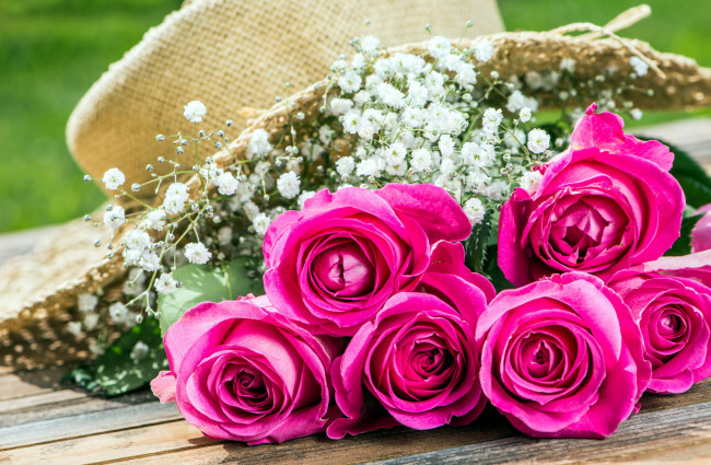 Обои картинки фото цветы, розы, шляпа, розовый