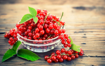 Картинка еда смородина fresh красная berries ягоды миска