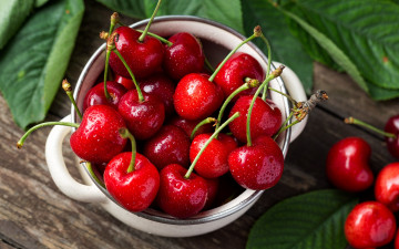 Картинка еда вишня +черешня wood cherry fresh черешня berries ягоды