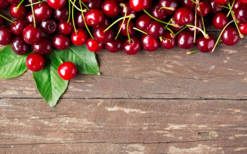 обоя еда, вишня,  черешня, ягоды, berries, черешня, fresh, wood, cherry