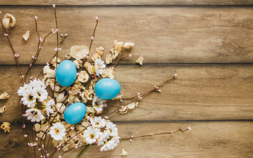 Картинка праздничные пасха happy яйца крашеные eggs ромашки wood decoration весна tender easter цветы flowers spring