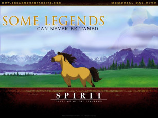 Картинка мультфильмы spirit stallion of the cimarron