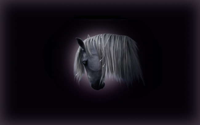 Обои картинки фото разное, компьютерный, дизайн, лошадь, конь, портрет