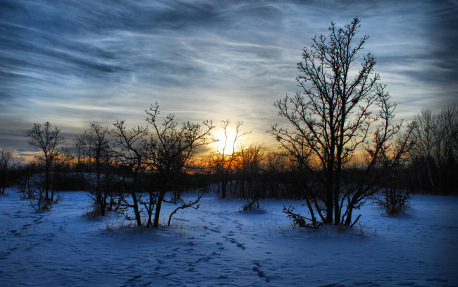 Обои картинки фото природа, зима, деревья, закат, снег, мароз, вечер