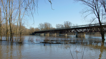 Картинка половодье на пьяне природа реки озера река разлив мост деревья