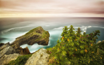 Картинка пейзаж природа побережье море скалы