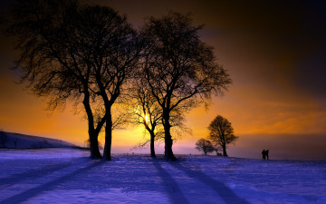 Картинка природа восходы закаты сияние зима закат поле деревья фигуры