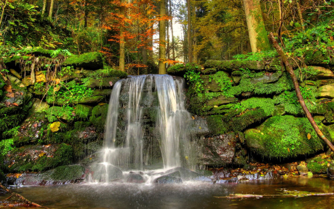 Обои картинки фото природа, водопады, мох, водопад, камни, река, лес