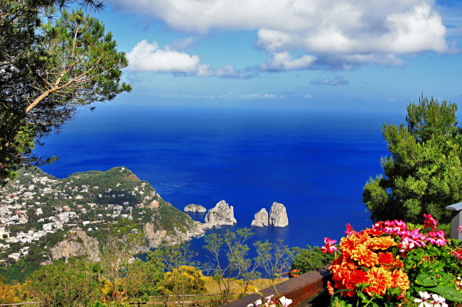 Обои картинки фото anacapri, capri, italy, природа, побережье, анакапри, капри, италия, море, цветы, деревья, скалы, панорама
