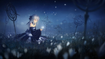 Картинка аниме pixiv+fantasia ночь лепестки поляна сидит девушка