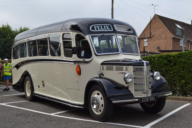 Обои картинки фото 1951 bedford ob duple coach, автомобили, автобусы, ретро, автошоу, выставка, история