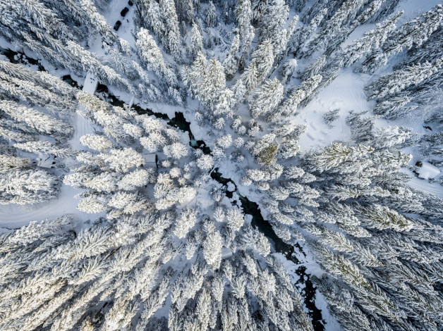 Обои картинки фото природа, зима, лес, снег, вид, сверху
