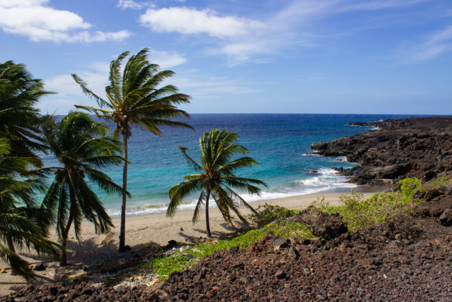 Обои картинки фото tropical hawaii, природа, тропики, tropical, hawaii