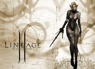 обоя видео игры, lineage ii,  the chaotic chronicle, эльфийка, белье, чулки, оружие