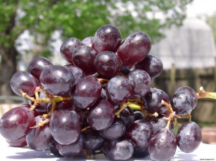 Картинка еда виноград