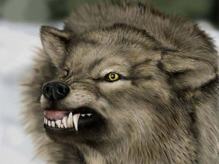 Картинка волчара рисованные животные волки