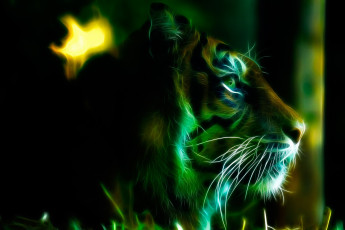 Картинка 3д графика animals животные тёмный фон профиль смотрит морда тигр