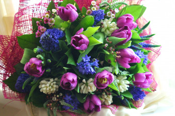 Картинка цветы букеты +композиции гиацинты тюльпаны