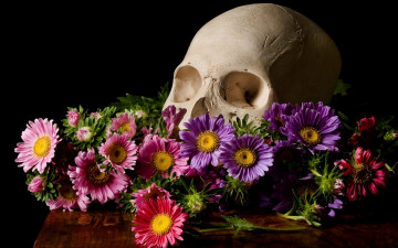 обоя разное, кости,  рентген, цветы, череп