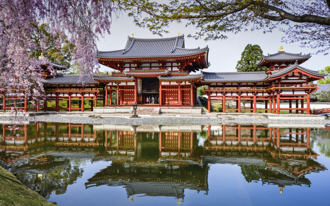 Обои картинки фото byodo-in temple - uji,  japan, города, - буддийские и другие храмы, весна, Япония, отражение, пруд, japan, uji, водоём, byodo-in, temple, удзи, храм, бёдо-ин, сакура