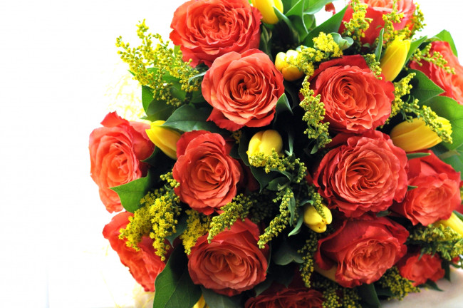 Обои картинки фото цветы, букеты,  композиции, тюльпаны, розы