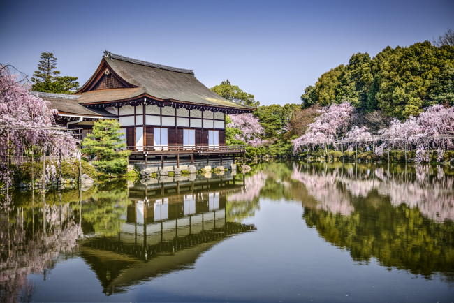 Обои картинки фото heian jingu - kyoto,  japan, города, - буддийские и другие храмы, отражение, сакура, деревья, парк, весна, водоём, japan, kyoto, heian, jingu, пруд, озеро, Япония, киото, храм, хэйан