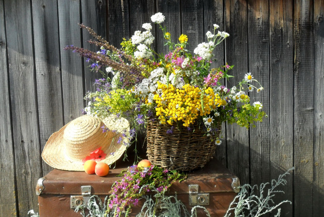 Обои картинки фото цветы, луговые , полевые,  цветы, шляпа, разнотравье