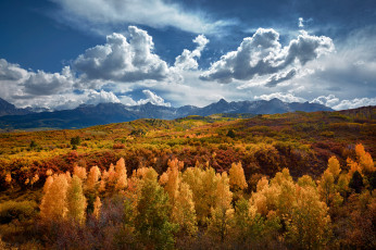 Картинка природа лес сша штат колорадо горы осень золотой