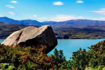 Картинка природа реки озера аргентина patagonia река берег камень кусты