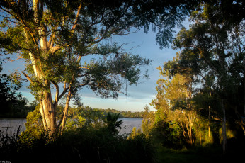 Картинка природа реки озера небо деревья