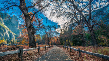 Картинка природа парк дорога забор горы осень