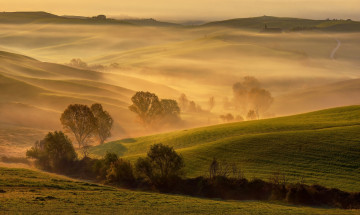 Картинка природа поля италия тоскана весна апрель утро золотой свет