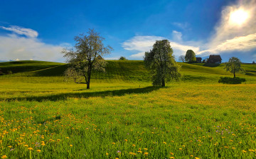 Картинка природа луга дом трава поле холмы цветы деревья