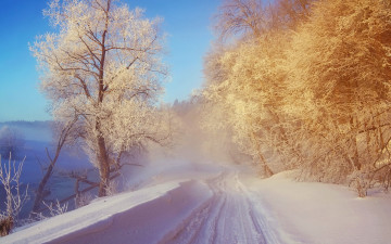 Картинка природа зима снег пейзаж иней