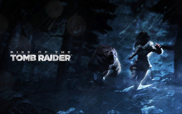 обоя видео игры, rise of the tomb raider, rise, of, the, tomb, raider